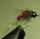 ���� ����� BLH Scud brown nymph  ������ scud � 12